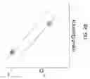 Fig. 06 - Methods and Systems for PCR Quantitation
