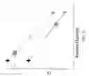 Fig. 08 - Methods and Systems for PCR Quantitation