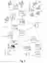 Fig. 02 - Scrubber to remove personally identifiable information