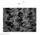 Fig. 01 - Automated detection of nitrogen deficiency in crop