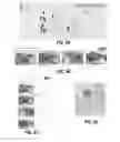 Fig. 06 - SYSTEM AND METHOD FOR CREATING AND SEARCHING FOR COUPONS RELATED TO REAL ESTATE
