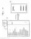 Fig. 06 - Method, a system, and a computer readable storage medium for automated recommendations for an online shopping cart