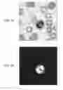 Fig. 02 - Methods and systems for assessing cell morphology