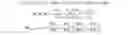 Fig. 12 - Image alignment method and apparatus