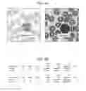 Fig. 05 - Methods and systems for assessing histological stains