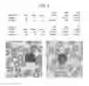 Fig. 08 - Methods and systems for assessing histological stains