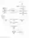 Fig. 01 - Original image generation system