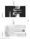 Fig. 04 - Image-based deformation of simulated characters of varied topology