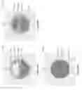Fig. 07 - Voxelization of mesh representations