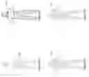 Fig. 09 - Voxelization of mesh representations