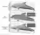 Fig. 01 - DEVICES, SYSTEMS, AND METHODS FOR MEASURING AND RECONSTRUCTING THE SHAPES OF SPECULAR OBJECTS BY MULTIVIEW CAPTURE