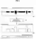 Fig. 03 - Information processing apparatus, information processing method and program