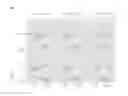 Fig. 09 - Liquid crystal display device