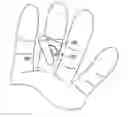 Fig. 01 - Guitar playing accessory