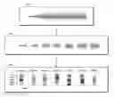 Fig. 01 - Technologies for robust crying detection using temporal characteristics of acoustic features