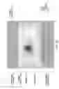 Fig. 07 - Magnetic element, skyrmion memory, skyrmion memory-device, solid-state electronic device, data-storage device, data processing and communication device