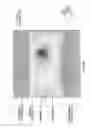 Fig. 08 - Magnetic element, skyrmion memory, skyrmion memory-device, solid-state electronic device, data-storage device, data processing and communication device