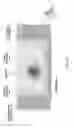 Fig. 11 - Magnetic element, skyrmion memory, skyrmion memory-device, solid-state electronic device, data-storage device, data processing and communication device