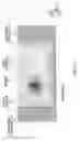 Fig. 13 - Magnetic element, skyrmion memory, skyrmion memory-device, solid-state electronic device, data-storage device, data processing and communication device
