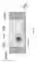 Fig. 16 - Magnetic element, skyrmion memory, skyrmion memory-device, solid-state electronic device, data-storage device, data processing and communication device