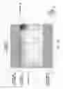 Fig. 34 - Magnetic element, skyrmion memory, skyrmion memory-device, solid-state electronic device, data-storage device, data processing and communication device