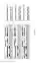 Fig. 40 - Magnetic element, skyrmion memory, skyrmion memory-device, solid-state electronic device, data-storage device, data processing and communication device