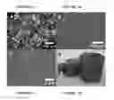 Fig. 04 - Graphene/graphite polymer composite foam derived from emulsions stabilized by graphene kinetic trapping