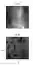 Fig. 04 - Rare earth magnet