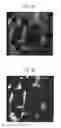 Fig. 05 - Rare earth magnet
