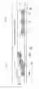 Fig. 09 - Multilayer ceramic electronic component including a pair of side outer electrodes and a center electrode