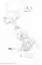 Fig. 03 - Touch-action electric switch with pre-load stroke