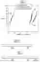Fig. 02 - Low damage low-k dielectric etch