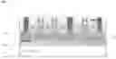 Fig. 01 - Method of manufacturing semiconductor device and semiconductor device