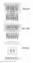 Fig. 1063 - Integrated circuit containing DOEs of NCEM-enabled fill cells