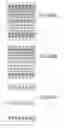 Fig. 1106 - Integrated circuit containing DOEs of NCEM-enabled fill cells