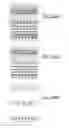 Fig. 1107 - Integrated circuit containing DOEs of NCEM-enabled fill cells