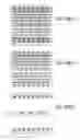 Fig. 1127 - Integrated circuit containing DOEs of NCEM-enabled fill cells