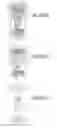 Fig. 1933 - Integrated circuit containing DOEs of NCEM-enabled fill cells