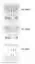 Fig. 1973 - Integrated circuit containing DOEs of NCEM-enabled fill cells