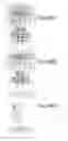 Fig. 2040 - Integrated circuit containing DOEs of NCEM-enabled fill cells