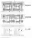 Fig. 2167 - Integrated circuit containing DOEs of NCEM-enabled fill cells