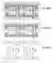 Fig. 2170 - Integrated circuit containing DOEs of NCEM-enabled fill cells