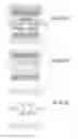 Fig. 2265 - Integrated circuit containing DOEs of NCEM-enabled fill cells