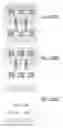 Fig. 2452 - Integrated circuit containing DOEs of NCEM-enabled fill cells