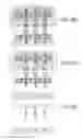Fig. 308 - Integrated circuit containing DOEs of NCEM-enabled fill cells