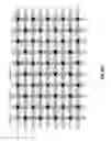 Fig. 42 - Integrated circuit containing DOEs of NCEM-enabled fill cells