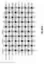 Fig. 43 - Integrated circuit containing DOEs of NCEM-enabled fill cells