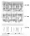 Fig. 445 - Integrated circuit containing DOEs of NCEM-enabled fill cells