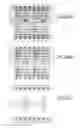Fig. 485 - Integrated circuit containing DOEs of NCEM-enabled fill cells