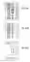 Fig. 514 - Integrated circuit containing DOEs of NCEM-enabled fill cells